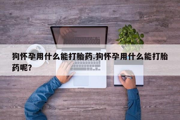 米非司酮片微信下单联系方式狗怀孕用什么能打胎药.狗怀孕用什么能打胎药呢？