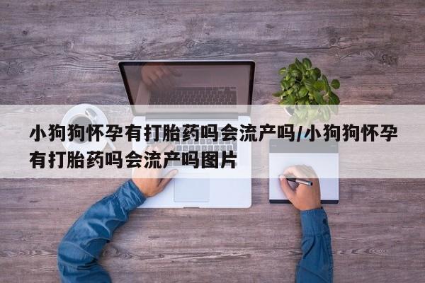 米非司酮片微信下单联系方式小狗狗怀孕有打胎药吗会流产吗/小狗狗怀孕有打胎药吗会流产吗图片