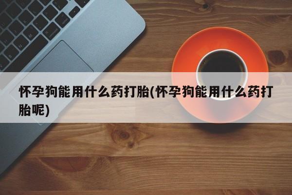 米非司酮片微信下单联系方式怀孕狗能用什么药打胎(怀孕狗能用什么药打胎呢)